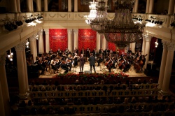 Топ Бренди 2013