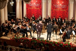 Топ Бренди 2013