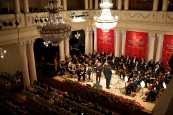 Топ Бренди 2013