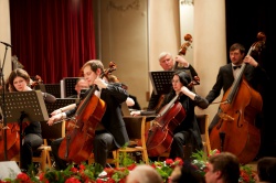 Топ Бренди 2013