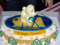 Новий рік 2005-2006