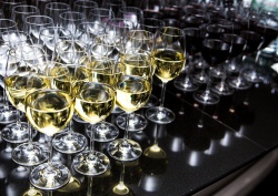 Яна PROPERTY партія та b-hush Signature