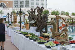 Дайкін, Туреччина 2008