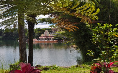 Mon-Plésir грейпфрут сад