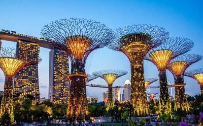 Затока садів - майбутні сади