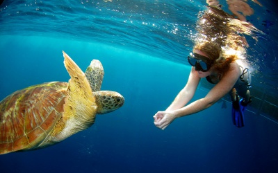 VIP сири на катарському люксі