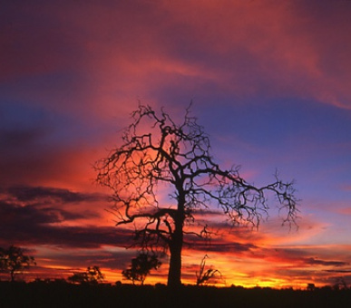 Картинка 1 Фото 1