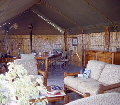 Картинка 7 Фото 7