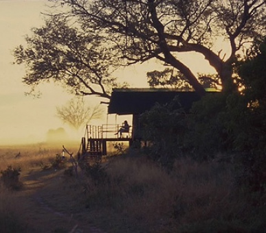 Картинка 12 Фото 12