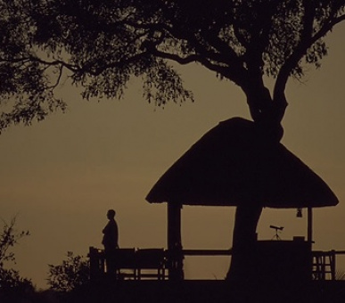 Картинка 9 Фото 9