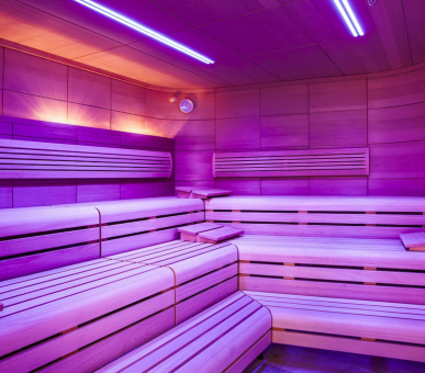 Картинка InterContinental Davos (Швейцария, Давос) 42 Фото InterContinental Davos (Швейцария, Давос) 42