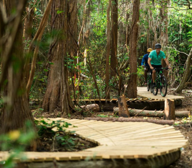 Картинка The Ritz-Carlton Orlando, Grande Lakes 16 Фото The Ritz-Carlton Orlando, Grande Lakes 16