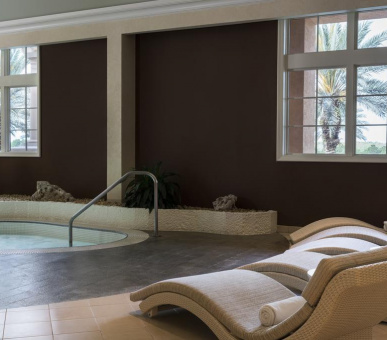 Картинка The Ritz-Carlton Orlando, Grande Lakes 17 Фото The Ritz-Carlton Orlando, Grande Lakes 17