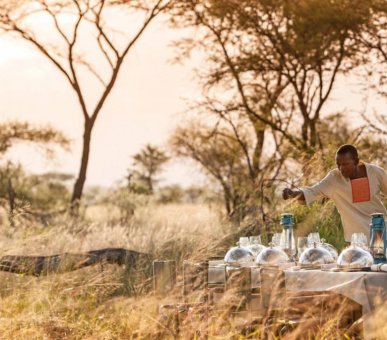 Картинка Four Seasons Safari Lodge (Танзания, Национальный парк Серенгети) 27 Фото Four Seasons Safari Lodge (Танзания, Национальный парк Серенгети) 27