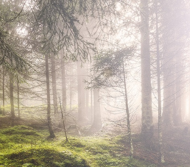 Картинка Клиника Lanserhof Tegernsee (Германия, Клиники Германии) 17 Фото Клиника Lanserhof Tegernsee (Германия, Клиники Германии) 17