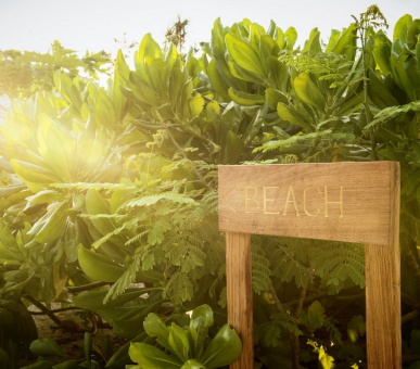 Картинка Zanzibar White Sand Luxury Villas 18 Фото Zanzibar White Sand Luxury Villas 18