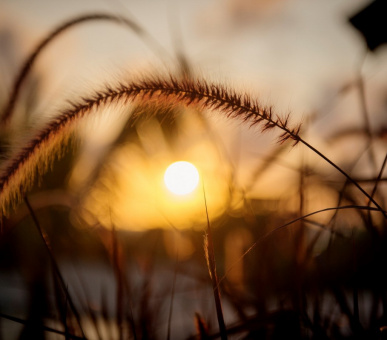 Картинка Zanzibar White Sand Luxury Villas 13 Фото Zanzibar White Sand Luxury Villas 13