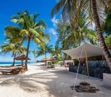 Картинка 15 Фото 15