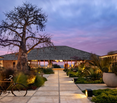 Картинка 9 Фото 9