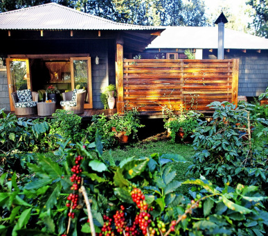Фото Arusha Coffee Lodge 13
