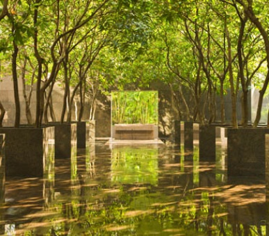 Картинка Grand Hyatt Hong Kong (Гонконг, Гонконг) 19 Фото Grand Hyatt Hong Kong (Гонконг, Гонконг) 19