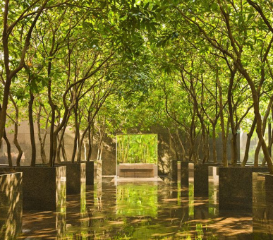 Картинка Grand Hyatt Hong Kong (Гонконг, Гонконг) 6 Фото Grand Hyatt Hong Kong (Гонконг, Гонконг) 6