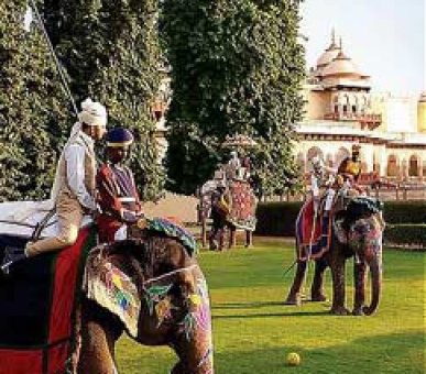 Картинка 11 Фото 11