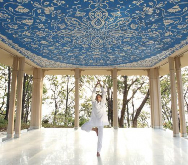 Фото Ananda in the Himalayas (Индия, Гималаи) 14