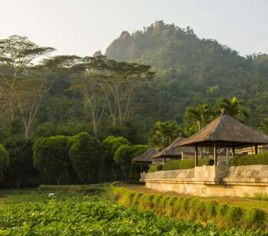 Фото Amanjiwo 22