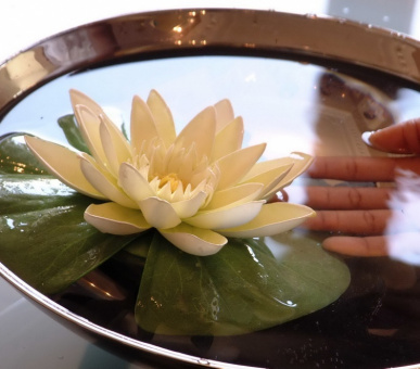 Картинка Hotel des Trois Couronnes (Швейцария, Веве) 44 Фото Hotel des Trois Couronnes (Швейцария, Веве) 44