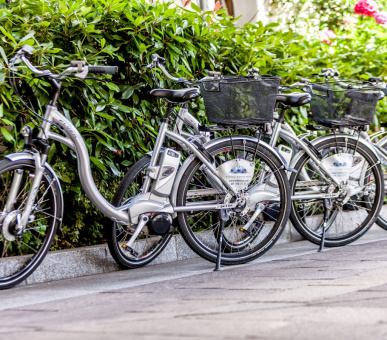 Картинка Hotel Eden Roc, Ascona 30 Фото Hotel Eden Roc, Ascona 30