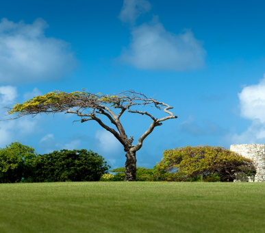 Картинка Jumby Bay, A Rosewood Resort (, Антигуа) 44 Фото Jumby Bay, A Rosewood Resort (, Антигуа) 44