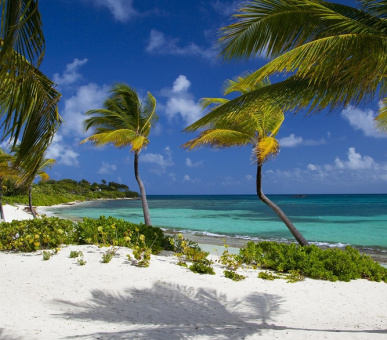 Картинка Jumby Bay, A Rosewood Resort (, Антигуа) 52 Фото Jumby Bay, A Rosewood Resort (, Антигуа) 52