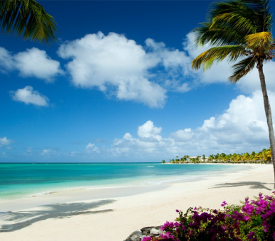 Картинка Jumby Bay, A Rosewood Resort (, Антигуа) 43 Фото Jumby Bay, A Rosewood Resort (, Антигуа) 43