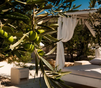 Картинка Borgo Egnazia Golf 73 Фото Borgo Egnazia Golf 73