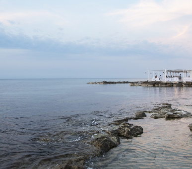 Картинка 27 Фото 27