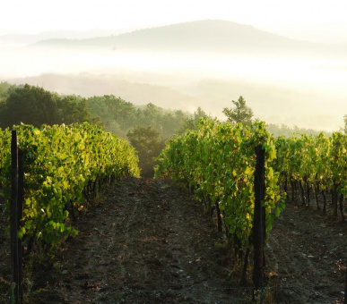 Фото Castello di Casole 23