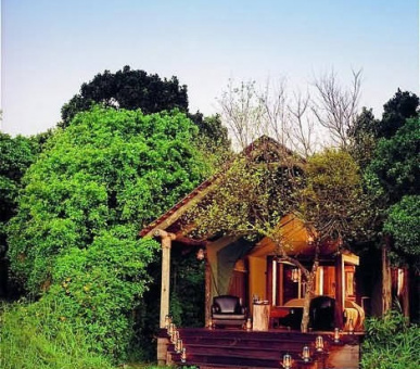 Картинка 1 Фото 1