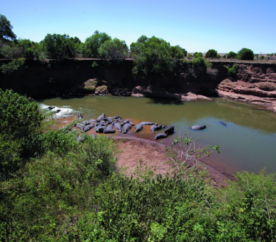 Картинка Fairmont Mara Safari Club (Кения, Национальный заповедник Масаи Мара) 11 Фото Fairmont Mara Safari Club (Кения, Национальный заповедник Масаи Мара) 11