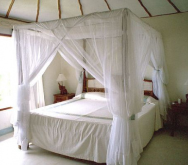 Картинка 7 Фото 7