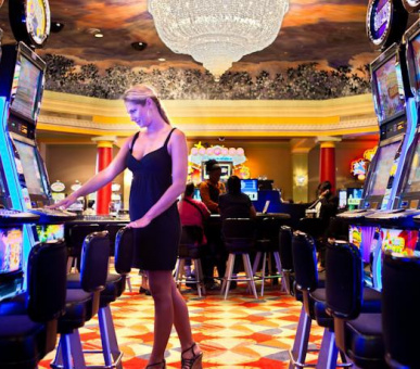 Картинка Curacao Marriott Beach resort 9 Фото Curacao Marriott Beach resort 9