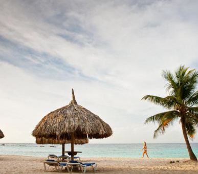 Картинка Curacao Marriott Beach resort 5 Фото Curacao Marriott Beach resort 5