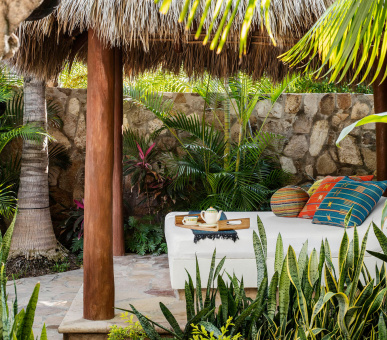 Картинка 36 Фото 36