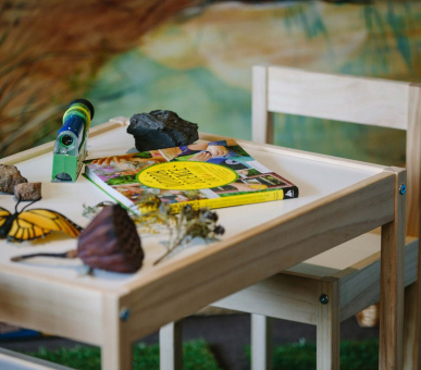 Картинка 29 Фото 29