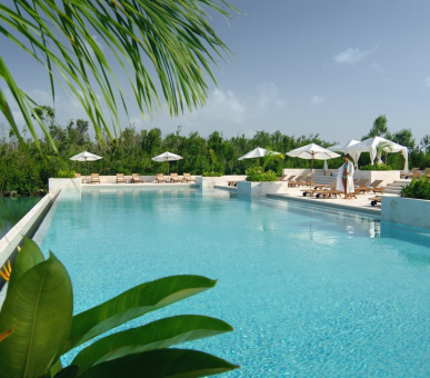 Картинка Fairmont Mayakoba (Мексика, Ривьера Майя) 26 Фото Fairmont Mayakoba (Мексика, Ривьера Майя) 26