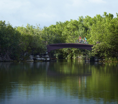 Фото Banyan Tree Mayakoba (Мексика, Ривьера Майя) 25