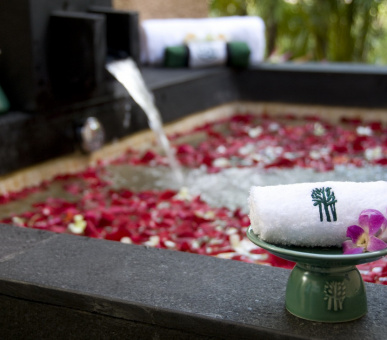 Фото Banyan Tree Mayakoba (Мексика, Ривьера Майя) 12