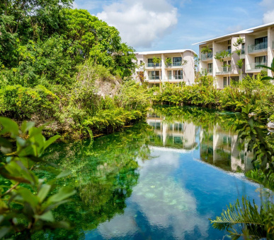 Картинка 24 Фото 24