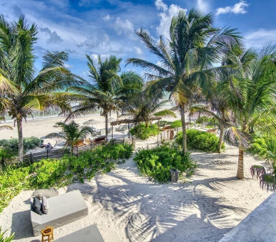 Картинка 14 Фото 14