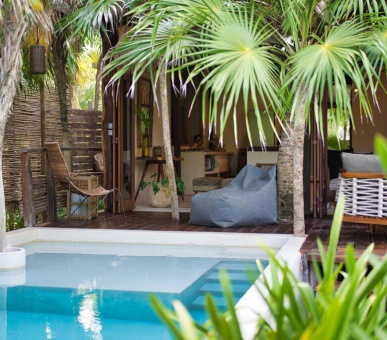 Картинка 1 Фото 1